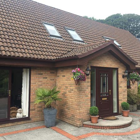 The Firs - Englefied Studio Bed & Breakfast Douglas Exterior photo